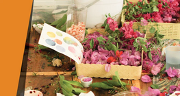 Peindre avec des plantes