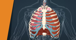 Prenez une grande inspiration