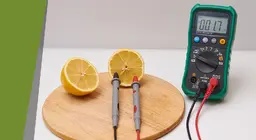 Fruit batteries