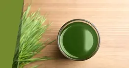 Het geheim van grassoep