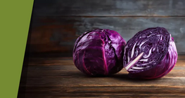 The multi-coloured red cabbage