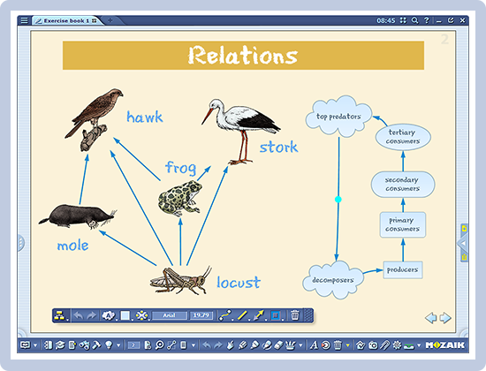 Relatiediagram