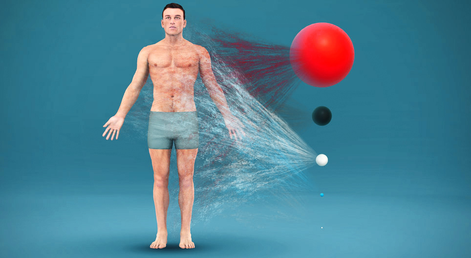 Waaruit is het menselijk lichaam opgebouwd?