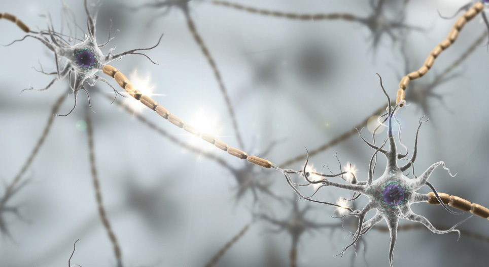 Synaptische transmissie