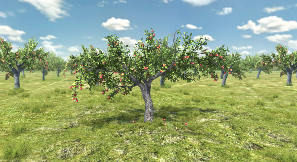Appelboom