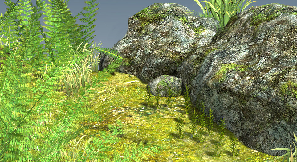 De levenscyclus van mossen en varens