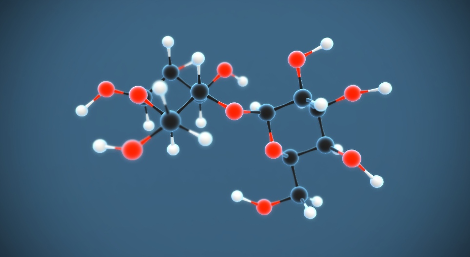 Lactose (C₁₂H₂₂O₁₁)