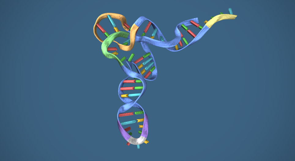 RNA