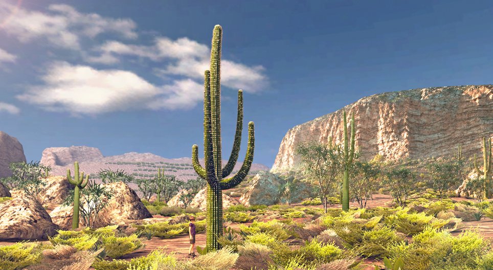 Karnegia olbrzymia (saguaro)