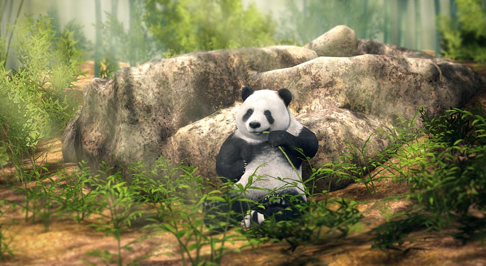Panda-gigante