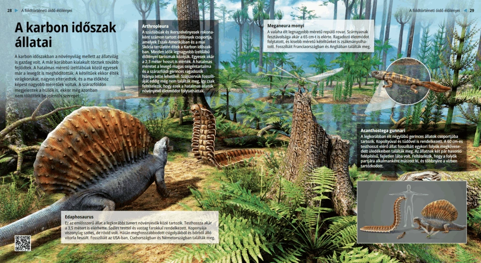 La fauna carbonífera