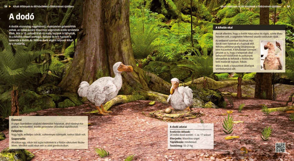 El dodo