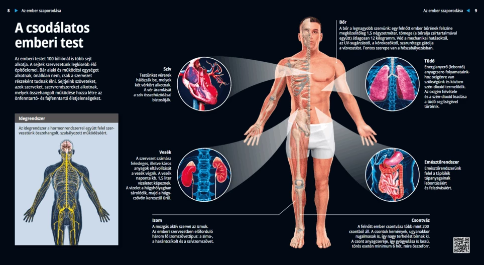 El increíble cuerpo humano