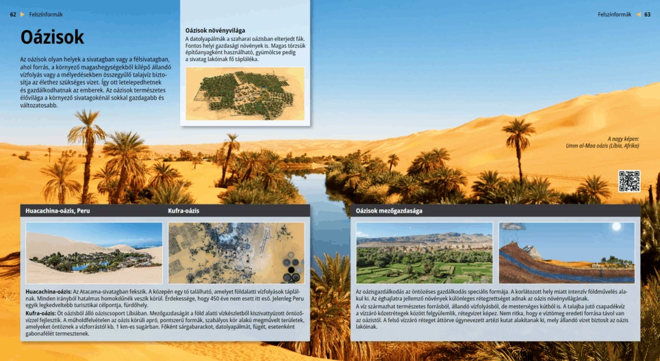 Los oasis