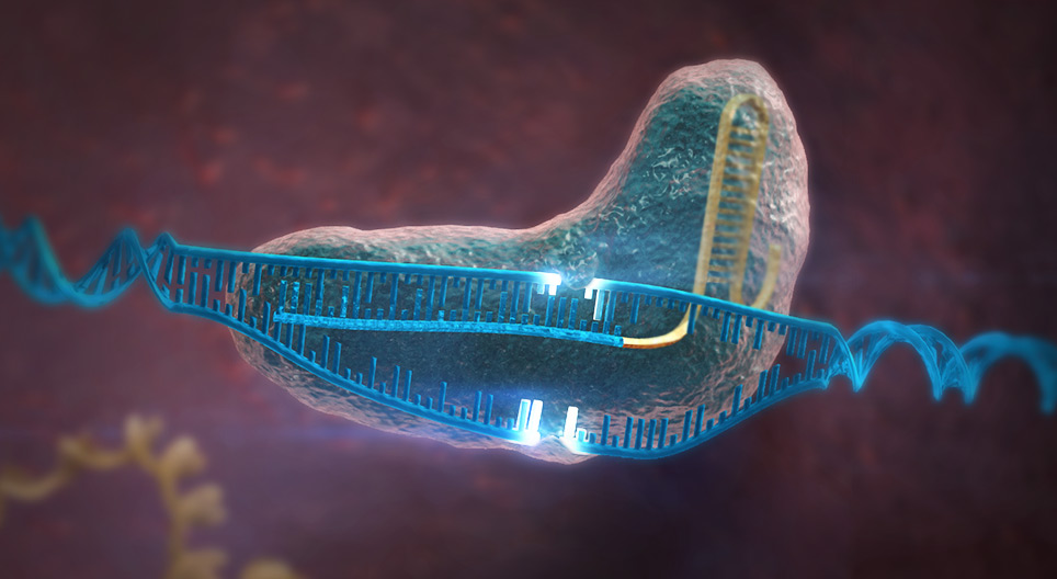 Genome editing
