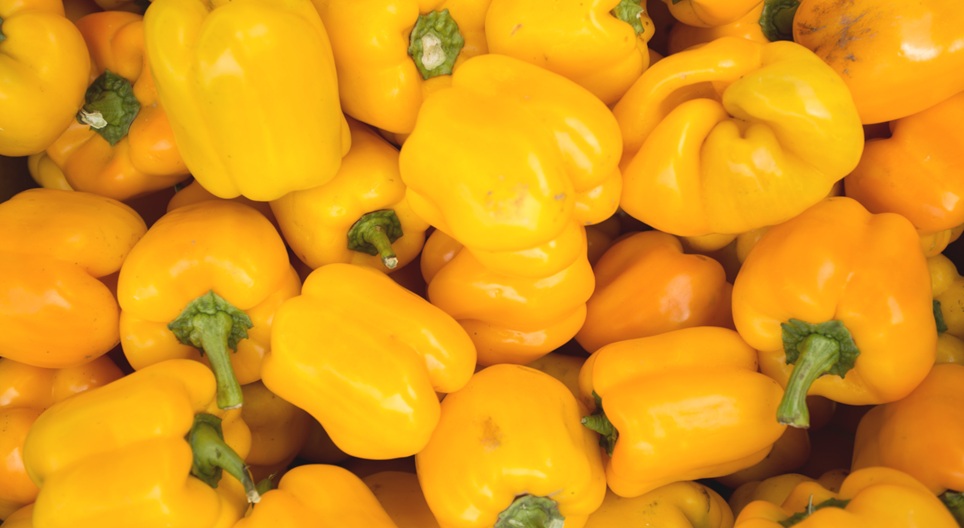 วิดีโอเพื่อการศึกษา