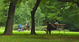 A Városliget