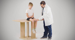 The patellar reflex