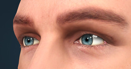 The human eye