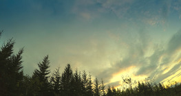 Il clima della Taiga