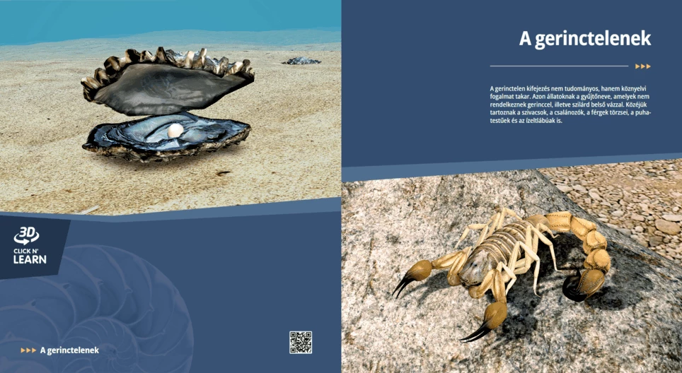 Invertebrates